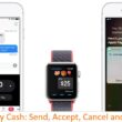 1 Apple pay Cash History and Accept or Cancel