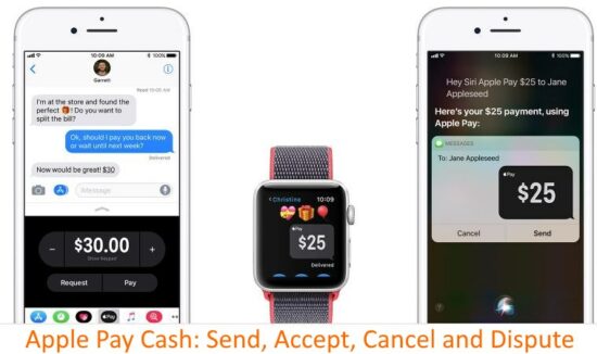 1 Apple pay Cash History and Accept or Cancel