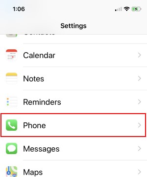 1 Phone settings on iPhone
