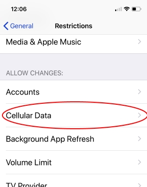 3 Cellular Data Restrictions on iPhone