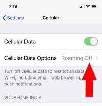 1 Cellular Data Options on iPhone X Settings