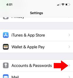 2 Account & Password settings on iPhone X