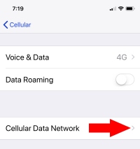 2 Cellular Data Network on iPhone Settings