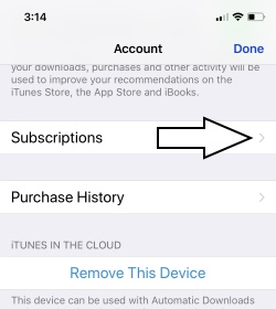 2 Subscription option on iPhone Settings