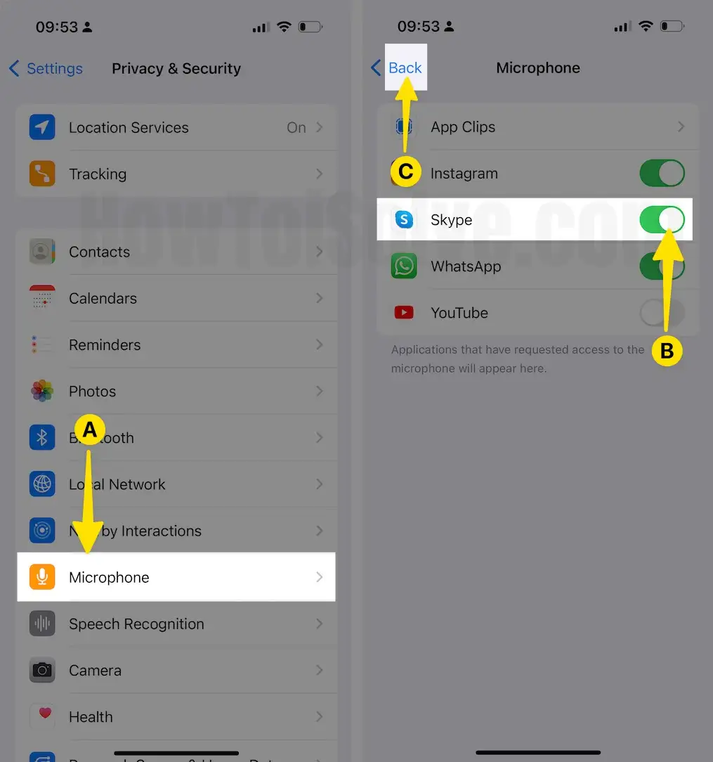 Choose Microphone Enable Skype on iPhone