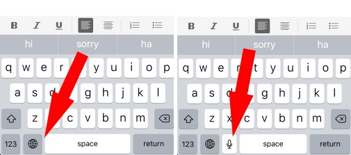 3 Microphone option key on iPhone Keyboard