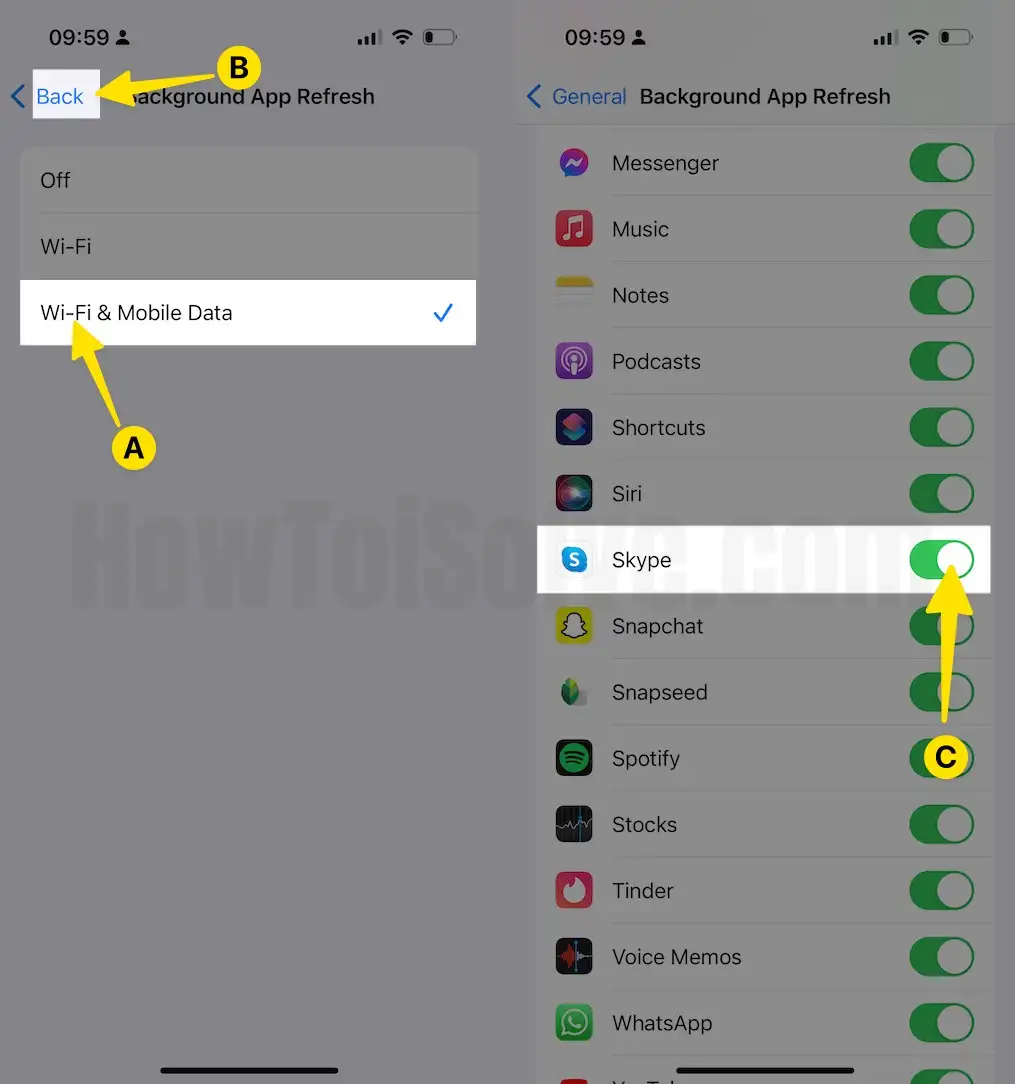 Choose Wi-Fi & Mobile Data Tap Back to Enable Skype on iPhone