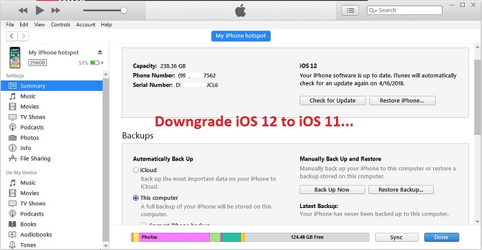1 Downgrade iOS 12 to iOS 11 on iPhone and iPad