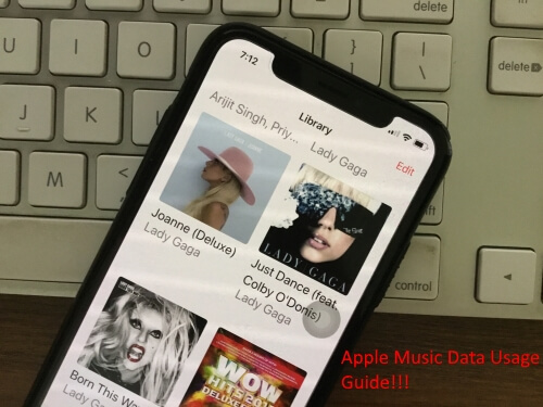 3 Apple Music Data Usage on iPhone X & iPhone 8 and 8 Plus (1)