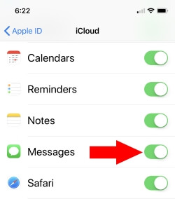 3 Enable Message in iCloud on iPhone