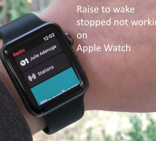 Raise to wake stopped not working on Apple Watch After