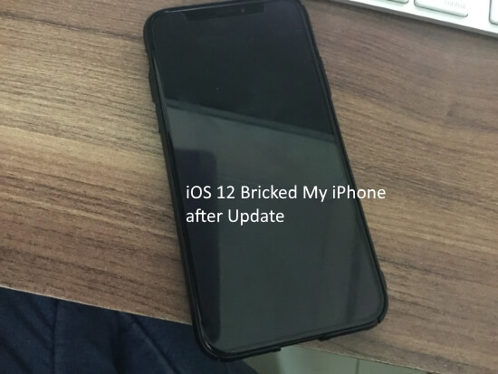 1 iPhone Bricked in iOS 12 update
