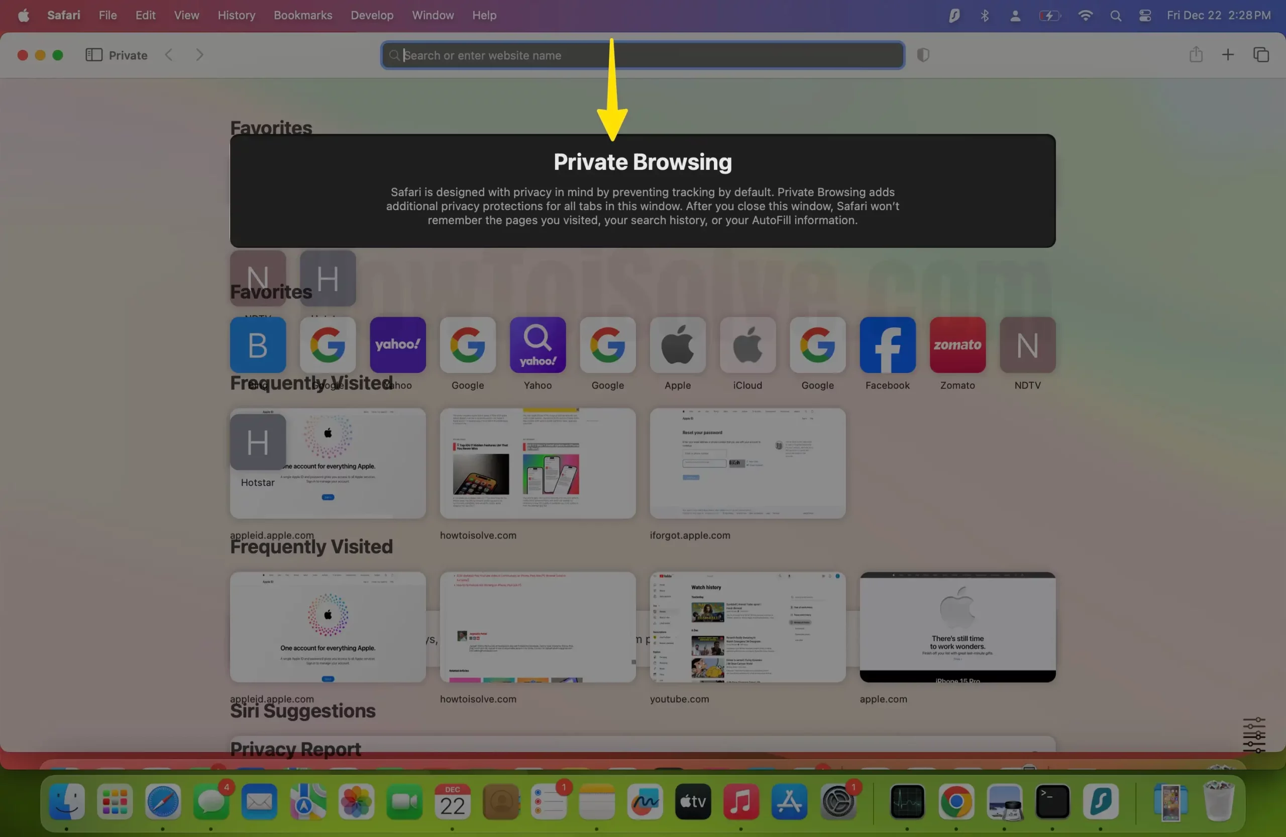 Screen of Private Browsing on Mac