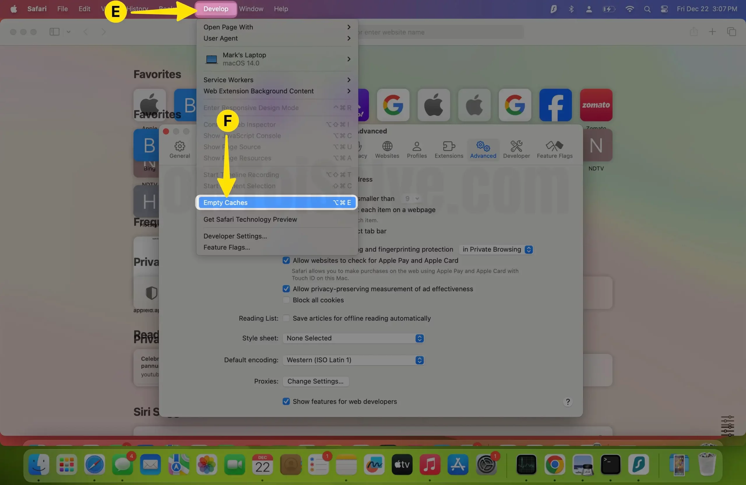 Click on Develop Select Empty Caches on Mac