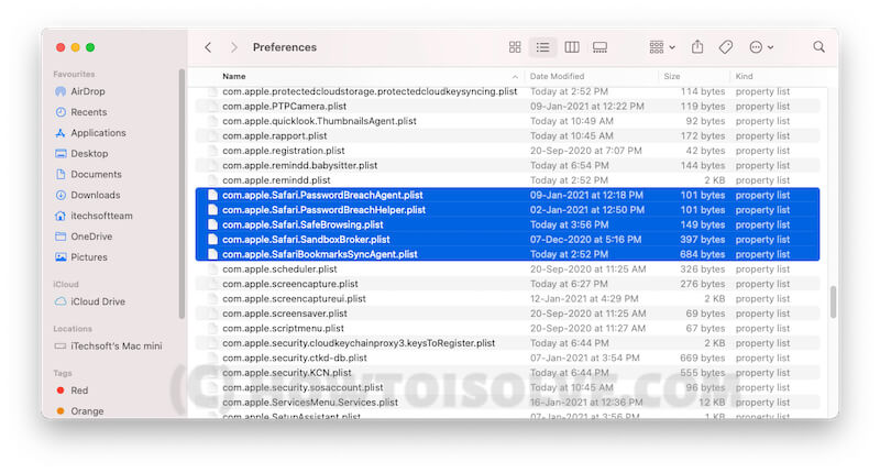 Remove Safari Plist file from Mac file system
