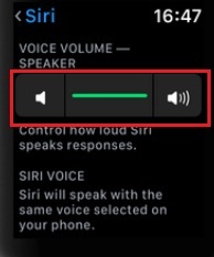 Voice volume specker Setting to adjust loud Siri under Siri on Apple Watch watchOS 5