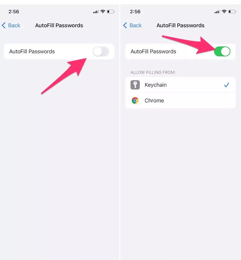 click-auto-fille-passwords-and-turn-toggle-green-autofille-passwords