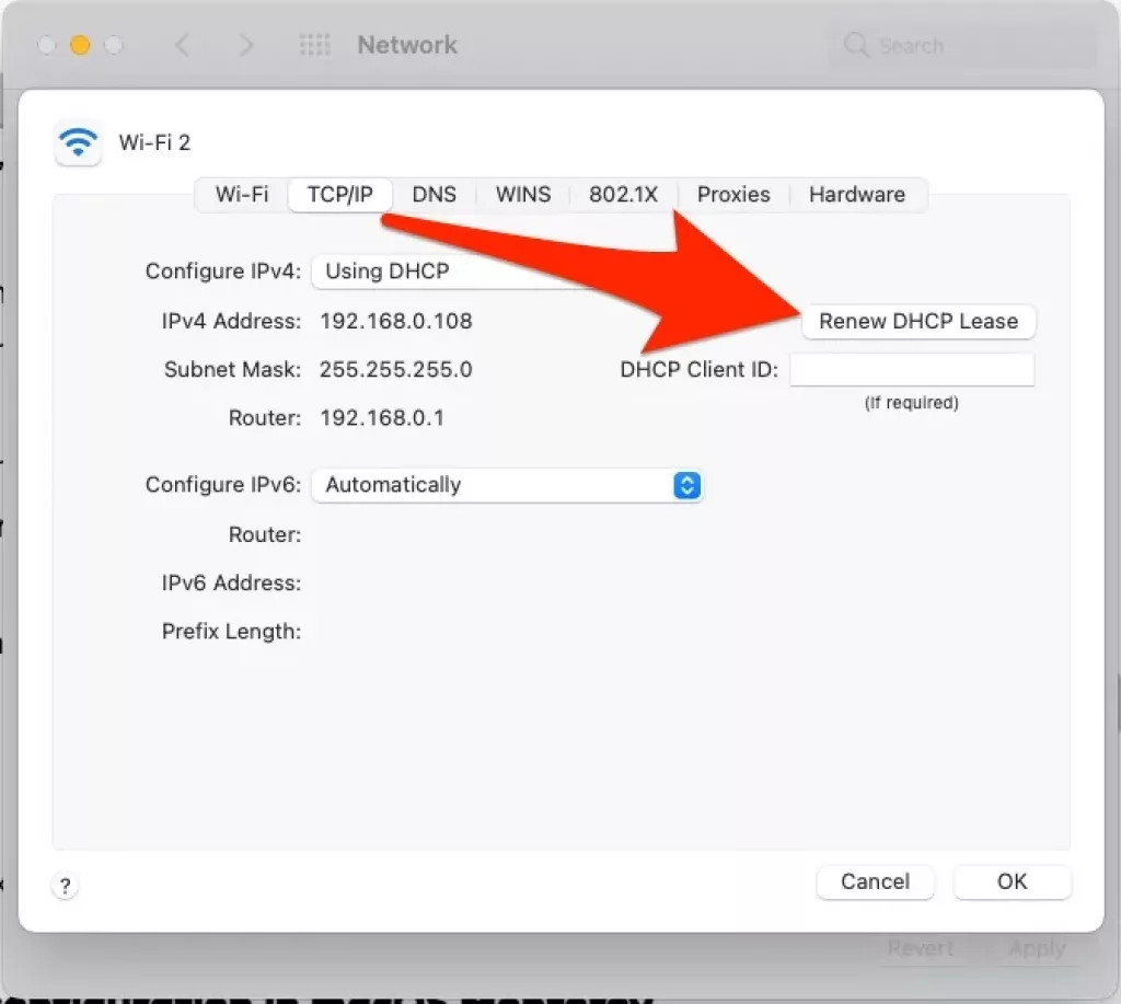 renew-dhcp-on-mac-wifi-settings