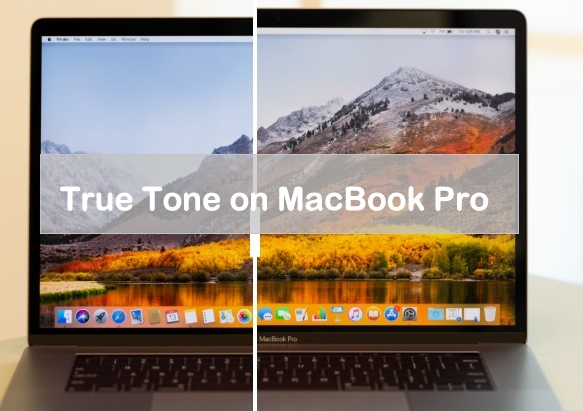 Отключить Включить True Tone на MacBook Pro 2018