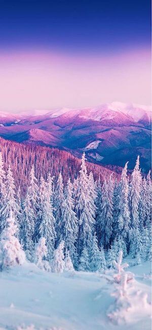 HD Winter Wallpaper for iPhone XR