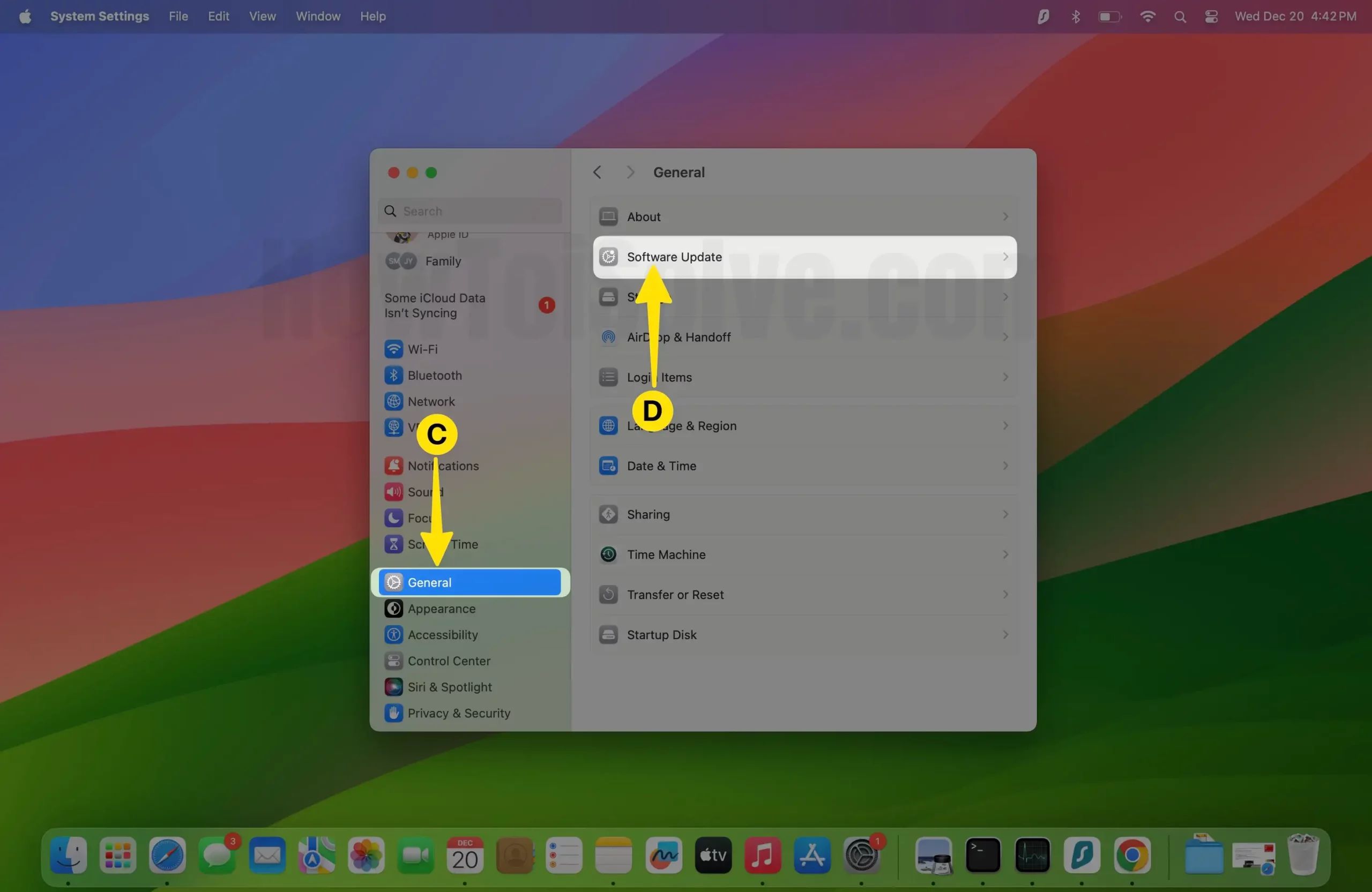 Choose General Select Software Update on Mac
