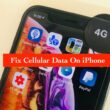 Cellular Data not working on iPhone XS Max