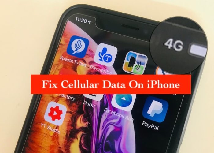 IPhone XS Max Cellular Data Not Working Slow Speed And Dropping 