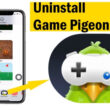Delete Game Pigeon from iMessage on iPhone and iPad