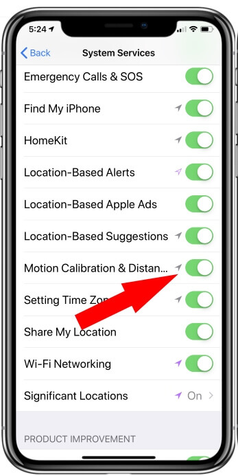 Enable Motion and Celebration on iPhone