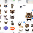 Best iMessage Cat Sticker Apps for iPhone