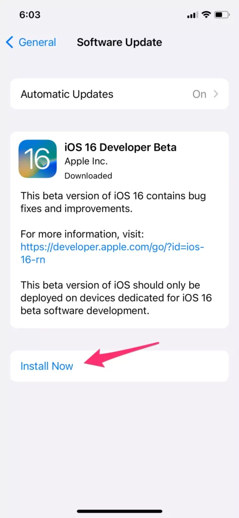 tap-install-now-to-install-ios-16-beta-on-your-iphone