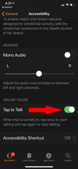 Enable Tap to Talk for Play Walkie Talkie Audio Message on Apple Watch