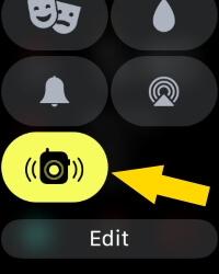 Enable Walkie Talkie on Apple Watch from Control center
