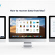 Mac and Windows Data Recovery Software