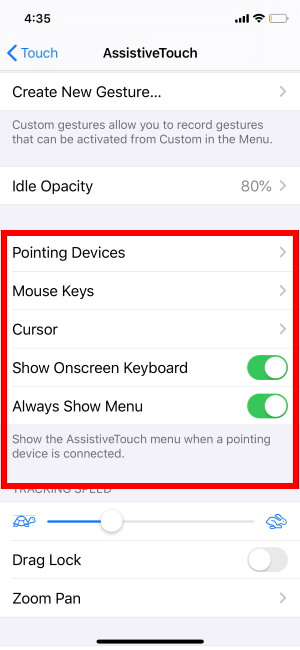 Setup mouse pointing device on iOS 13 or iPadOS