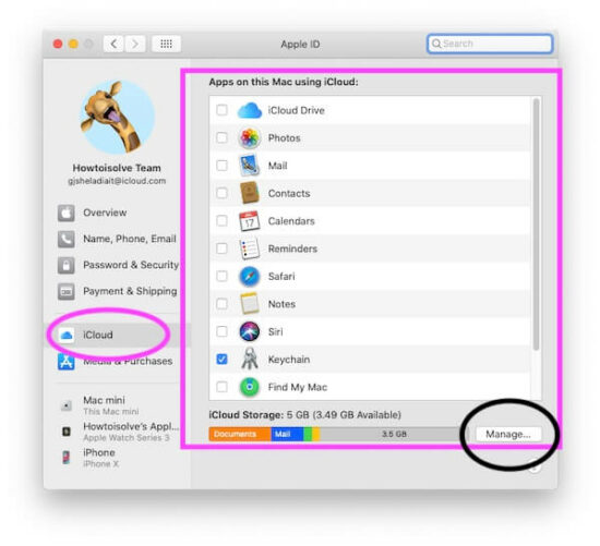 How to Manage iCloud Storage on Mac and iPhone (2024)