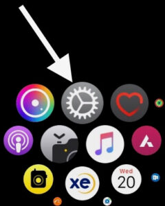 Settings app on Apple Watch
