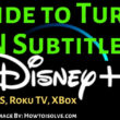 How to Turn ON Subtitles on Disney+ on iOS iPhone iPad, Roku Tv and Xbox One