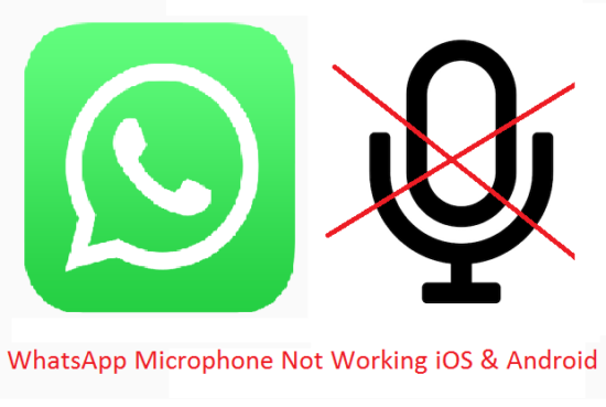 WhatsApp Microphone Not Working iOS and android
