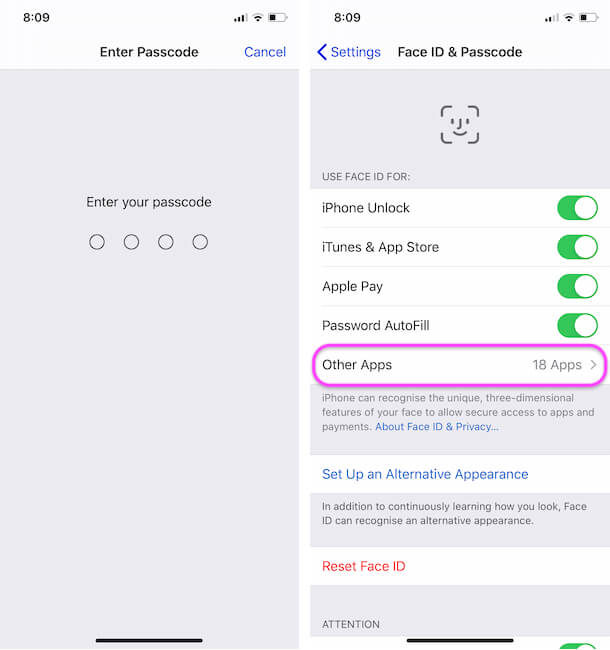 Other Apps on Face ID & Passcode on iPhone