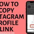 How to Copy Instagram Profile Link iPhone