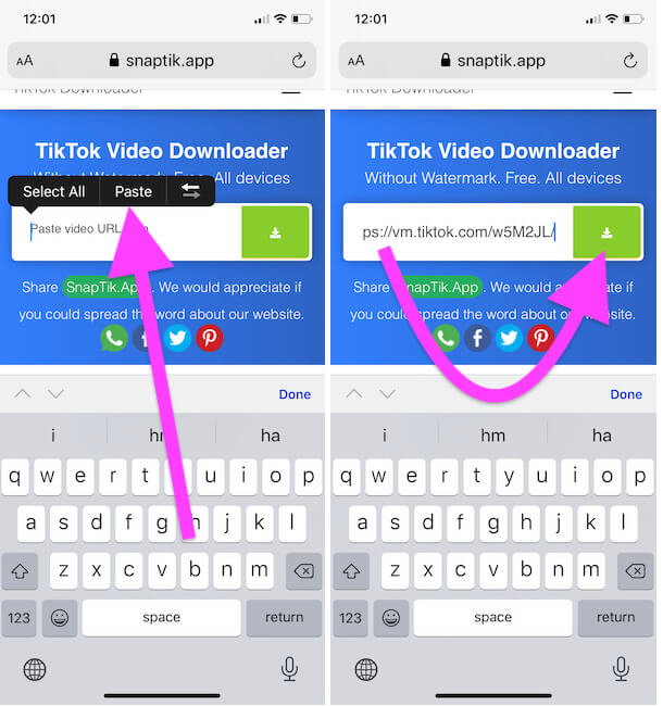 Paste Copied URL on Tiktok Video Download app from Safari Browser
