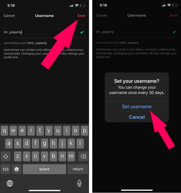 Type and Check New Available TikTok Username on iPhone