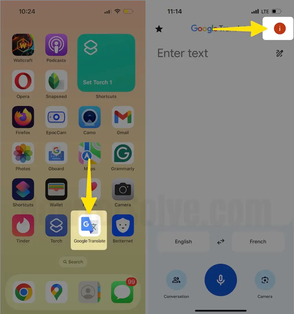 Open Google Translate App Select Profile icon on iPhone