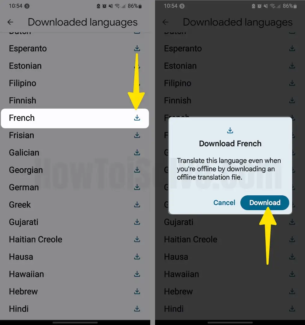 Tap on Download icon next to Language Select Download on Android