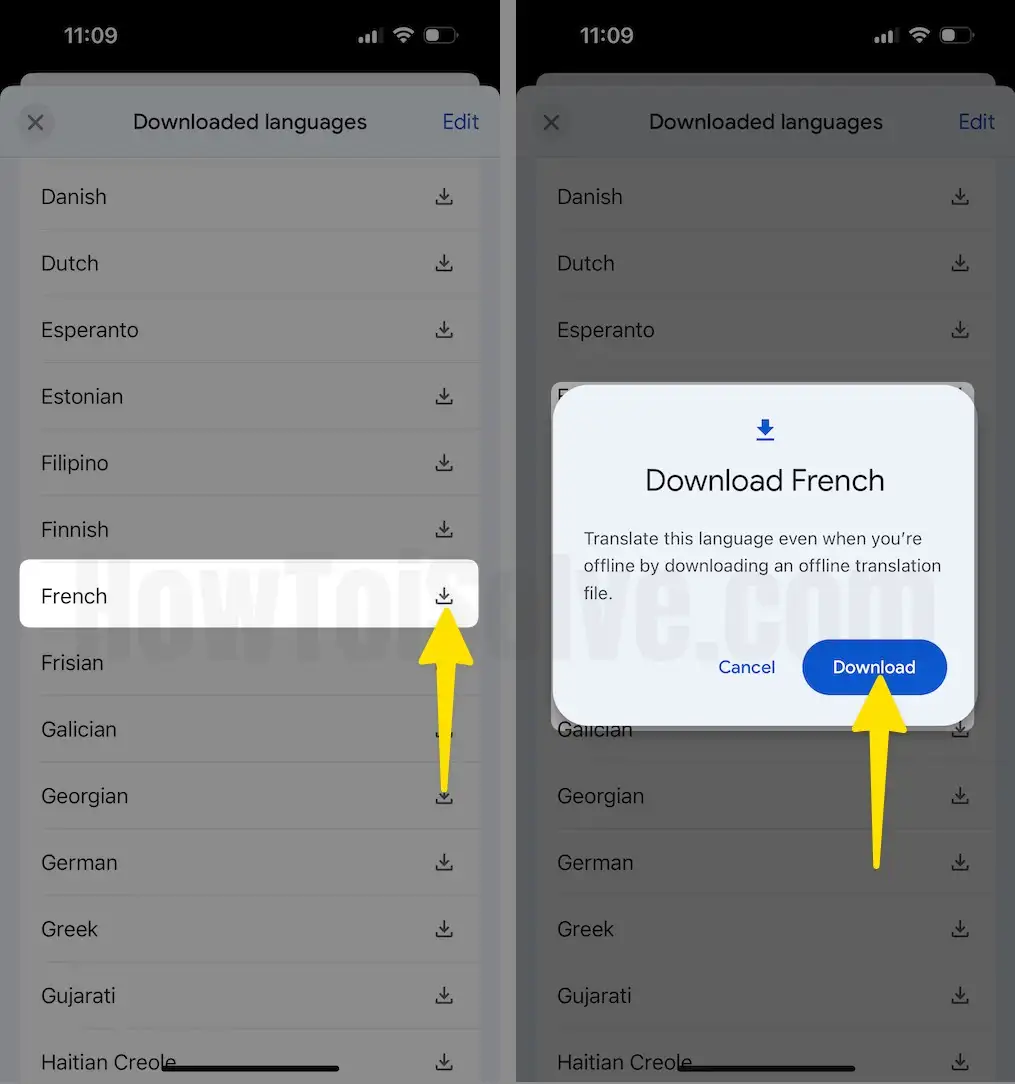 Tap on Download icon next to Language Select Download on iPhone