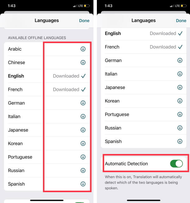 Download Langage for Offline translate or Turn on Automatic Detection