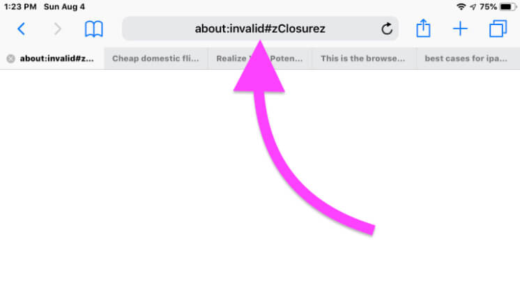 about-invalid#zClosurez on safari iPhone iPad