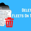 Delete Fleets On Twitter iPhone iPad or android (1)