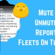 Mute Unmute Report Fleets On Twitter